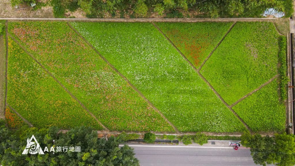 2021大溪花彩節空拍彩虹大道