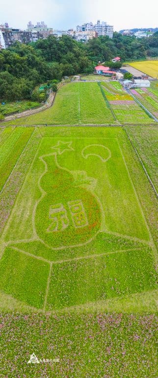 2021大溪花彩節空拍奧運