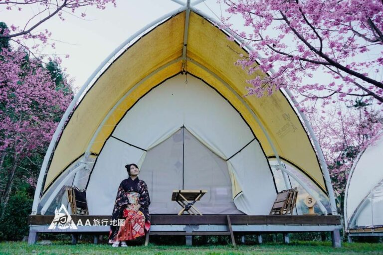 Cicada said: Fog around｜Cherry Blossom Season at Wufeng Luxury Camping in Hsinchu, Taiwan｜Cherry Blossom Shooting without crowded people and the latest hunting cultural experience
