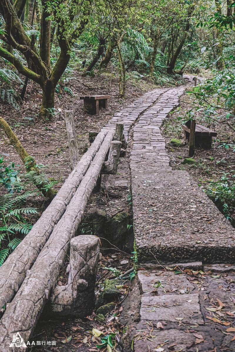 藍鵲菲菲後花園獨木橋