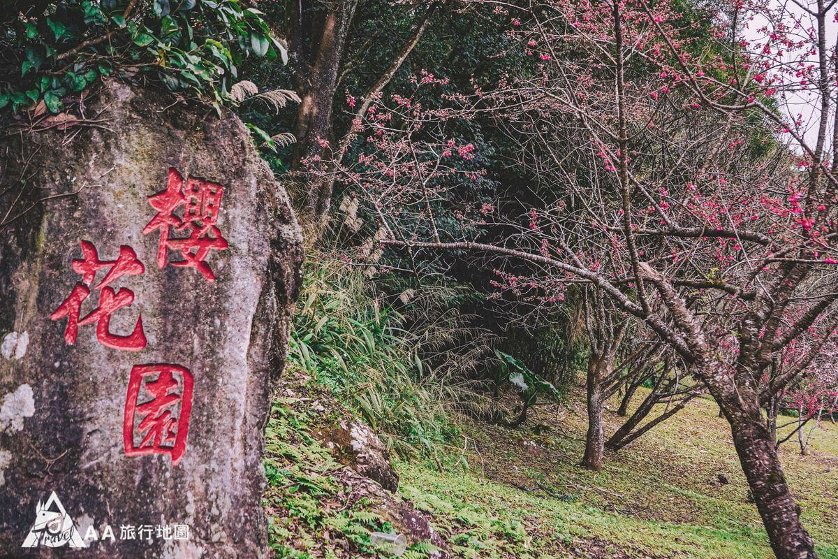 藍鵲菲菲櫻花園石碑