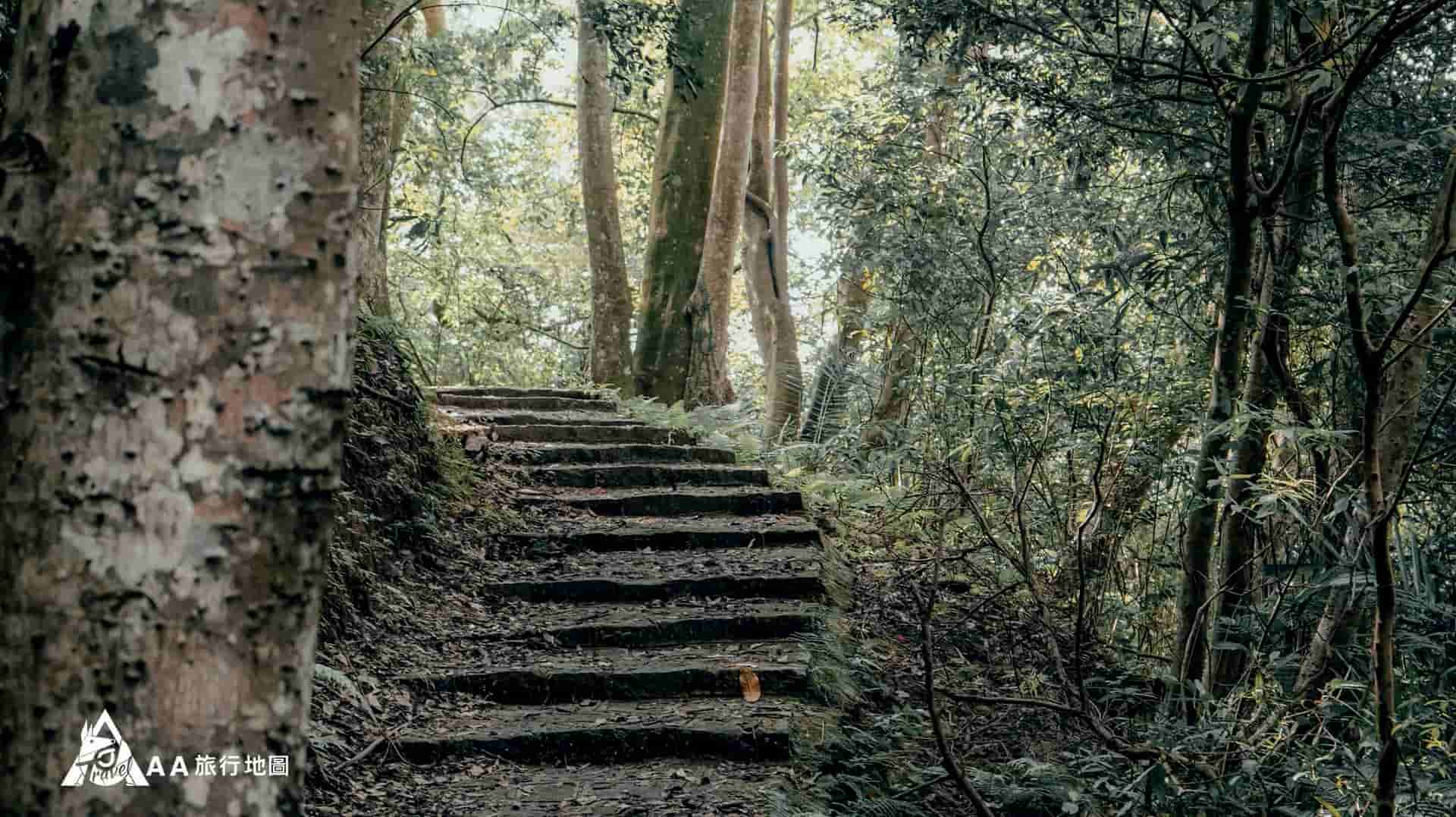 大山北月 後山步道上去可以吸收芬多精，很多登山客都會來 這邊爬山呢