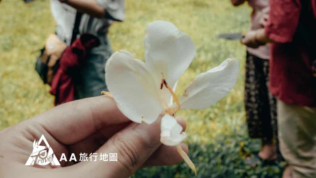 大山北月 校長一開始就為大家解說這地方的動植物，此為野薑花